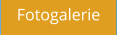Fotogalerie