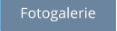 Fotogalerie